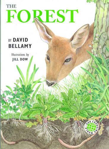 The Forest
