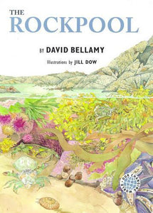 The Rockpool 