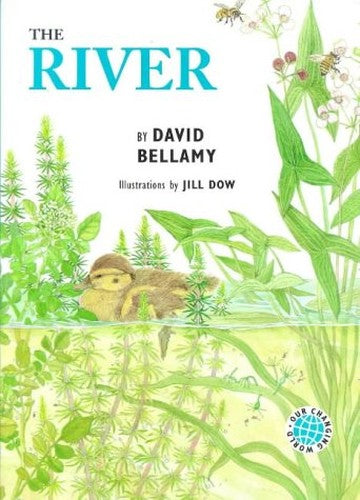 The River