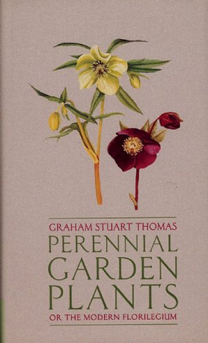 Perennial Garden Plants
