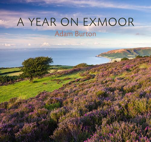 A Year on Exmoor