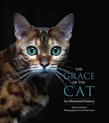 The Grace of the Cat