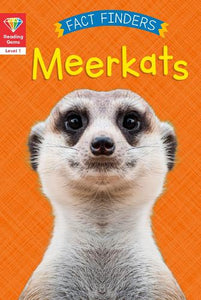 Reading Gems Fact Finders: Meerkats (Level 1) 