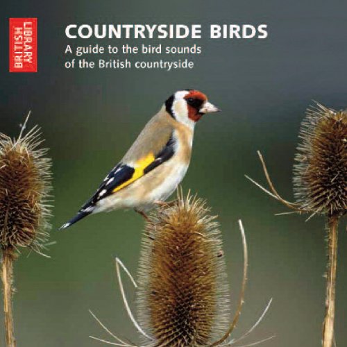 Countryside Birds