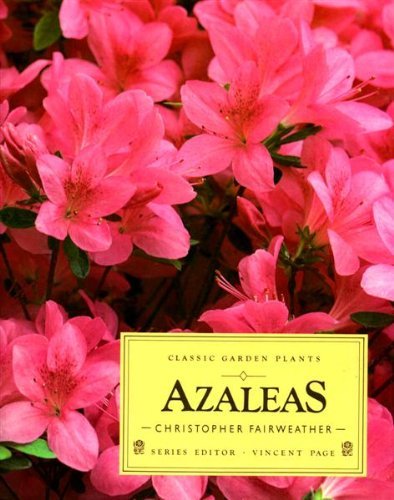 Azaleas