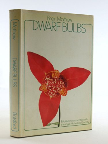 Dwarf Bulbs