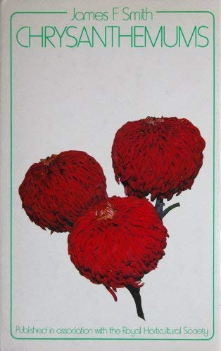 Chrysanthemums