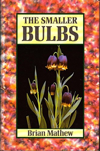 The Smaller Bulbs