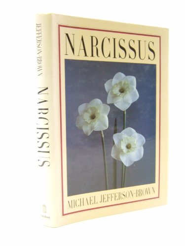 Narcissus