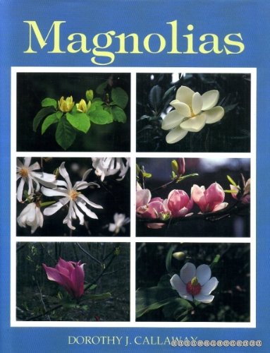 MAGNOLIAS