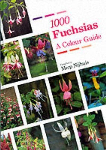 1000 FUCHSIAS