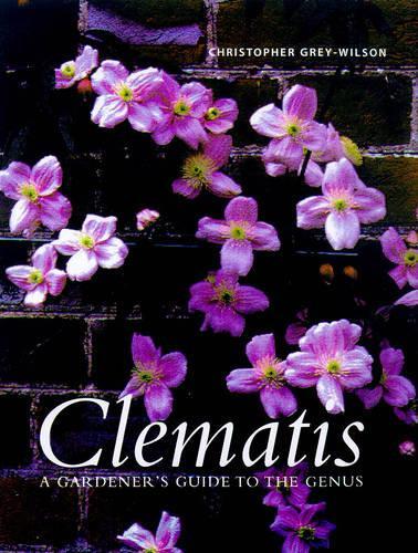 CLEMATIS