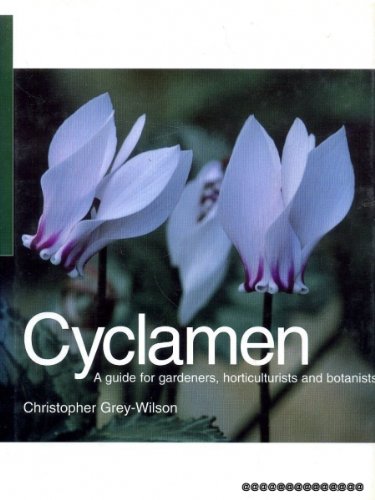 CYCLAMEN