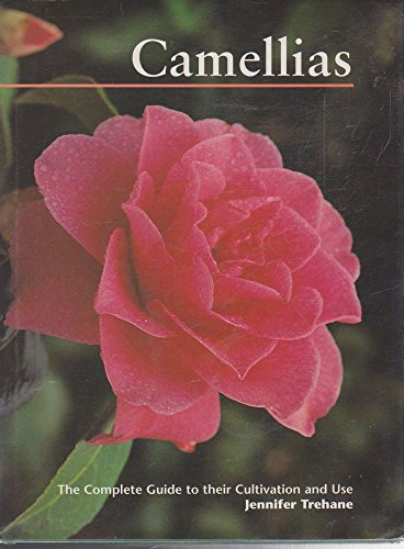 CAMELLIAS