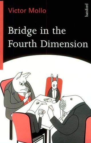 BRIDGE IN THE FOURTH DIMENSION