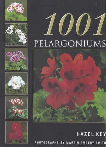 1001 PELARGONIUMS
