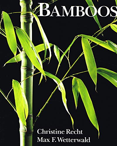 BAMBOOS