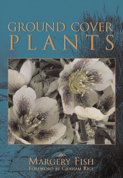 Ground Cover Plants