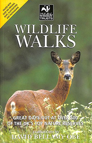 WILDLIFE WALKS