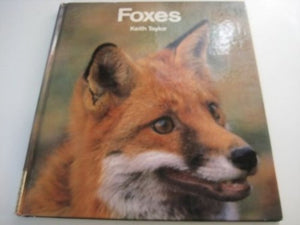 Foxes 