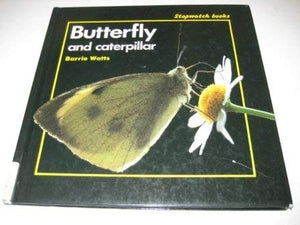 Butterfly and Caterpillar