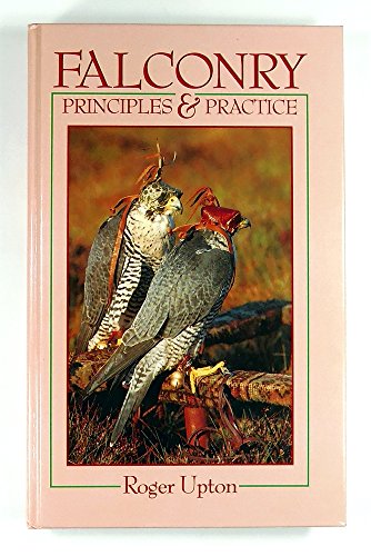 Falconry