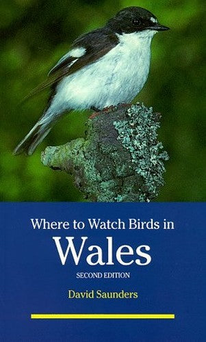 Where to Watch Birds in Wales