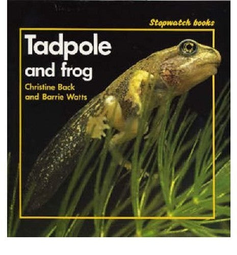 Tadpole and Frog