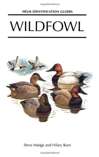 Wildfowl