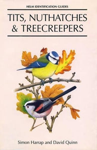 Tits, Nuthatches and Creepers 