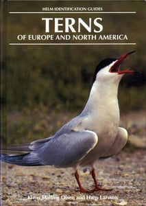 Terns of Europe and North America 