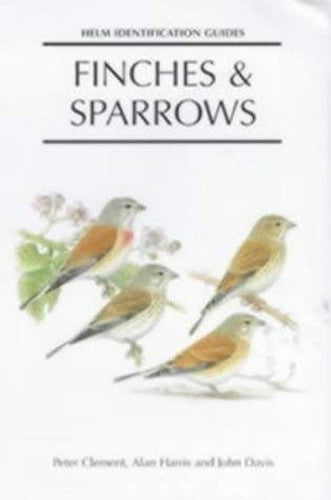 Finches and Sparrows