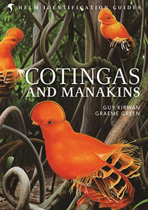 Cotingas and Manakins 