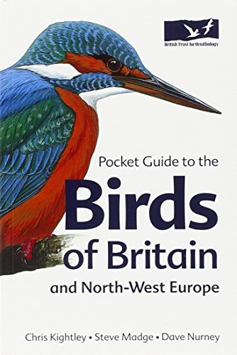 Pocket Guide to the Birds of Britain and North-West Europe