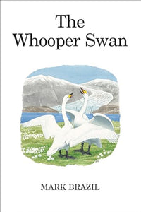 The Whooper Swan 