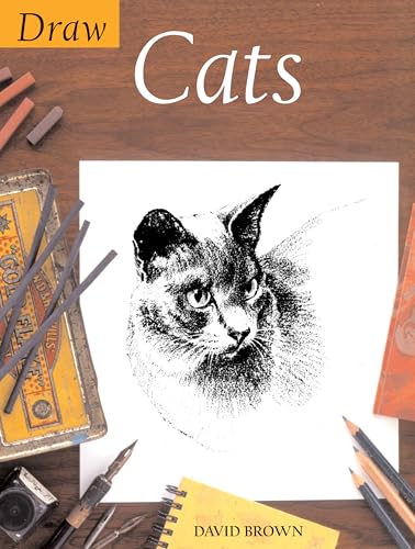 Draw Cats