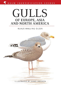 Gulls of Europe, Asia and North America 