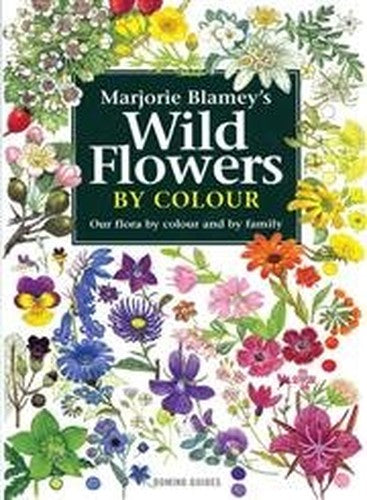 Wild Flowers by Colour