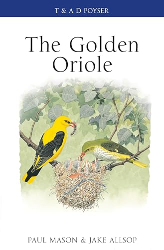 The Golden Oriole