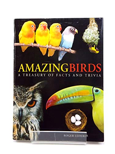 Amazing Birds