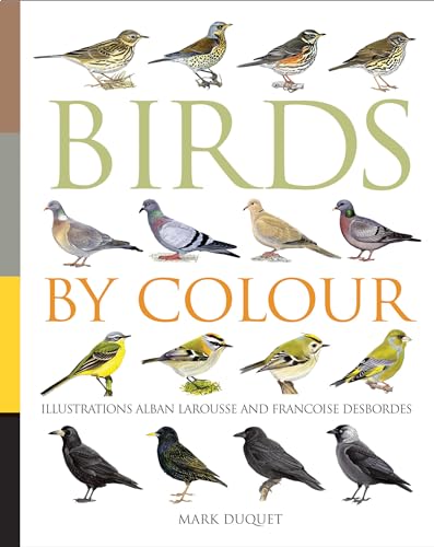 Birds by Colour