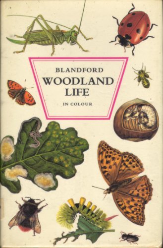 Woodland Life