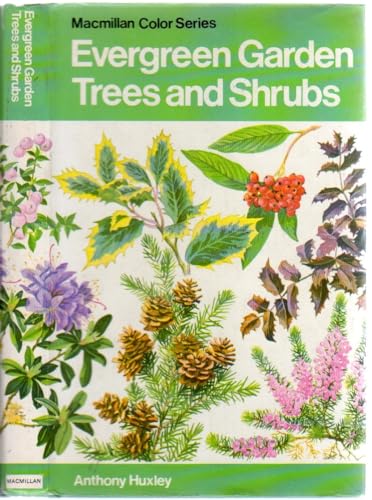 Evergreen garden trees and shrubs in colour