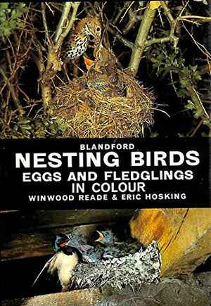 Nesting Birds, Eggs and Fledglings