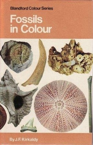 Fossils in Colour