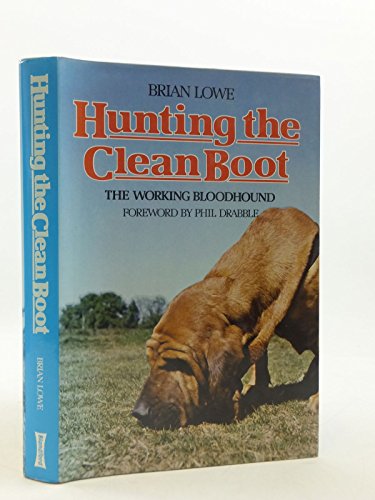 Hunting the Clean Boot: Working Bloodhound