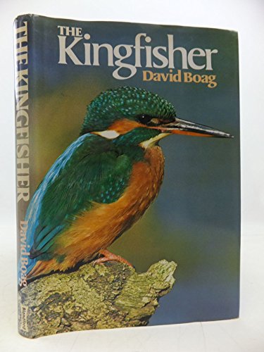 The Kingfisher
