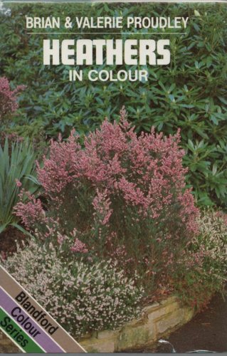Heathers in Colour
