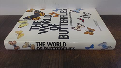 The world of butterflies