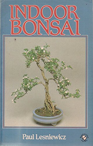 Indoor Bonsai